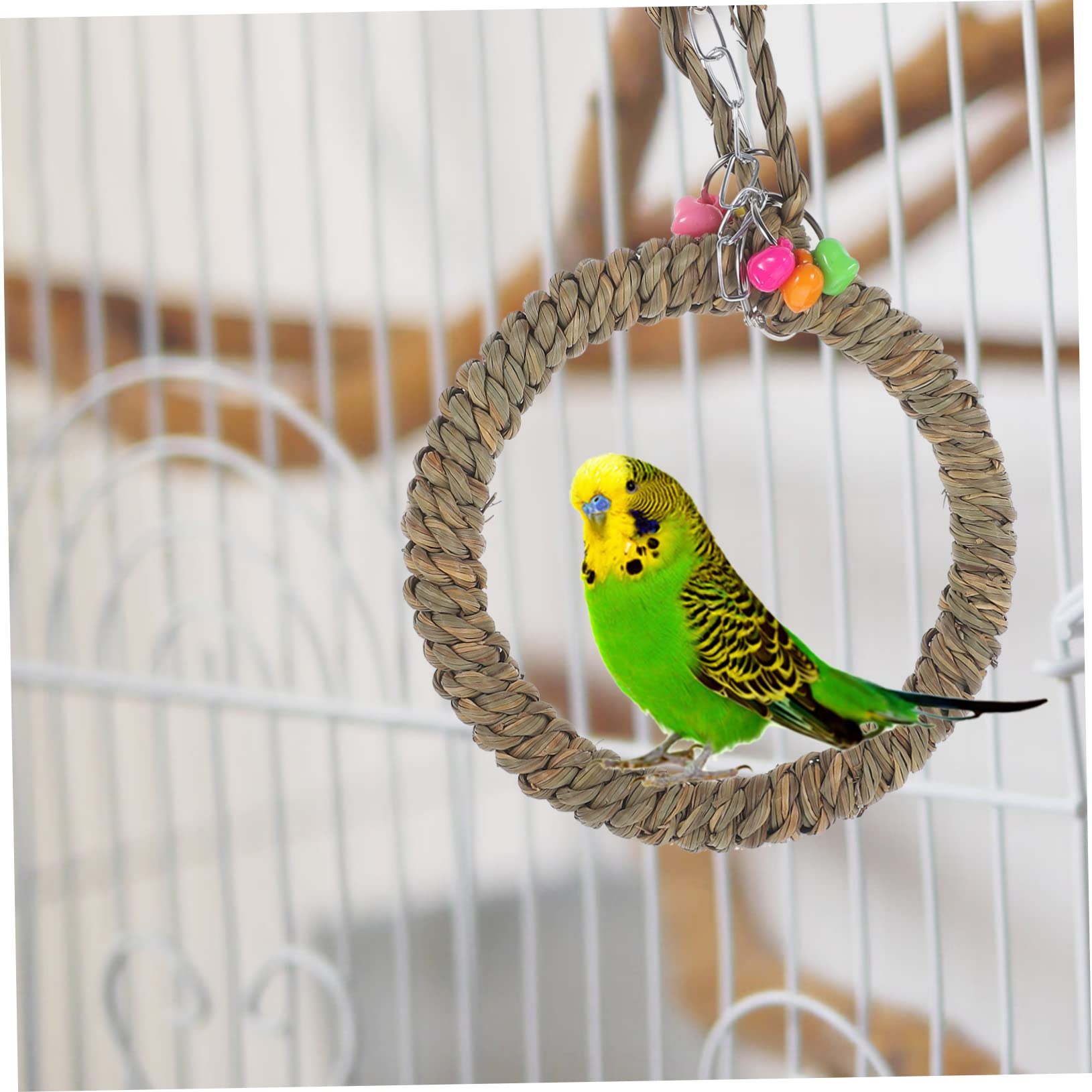 minkissy 5 Pezzi Supporto Per Trespolo Per Pappagalli Altalena Per Uccelli Giocattolo Per Calopsitte Set Da Gioco Decorativo Per Gabbia Per Uccelli