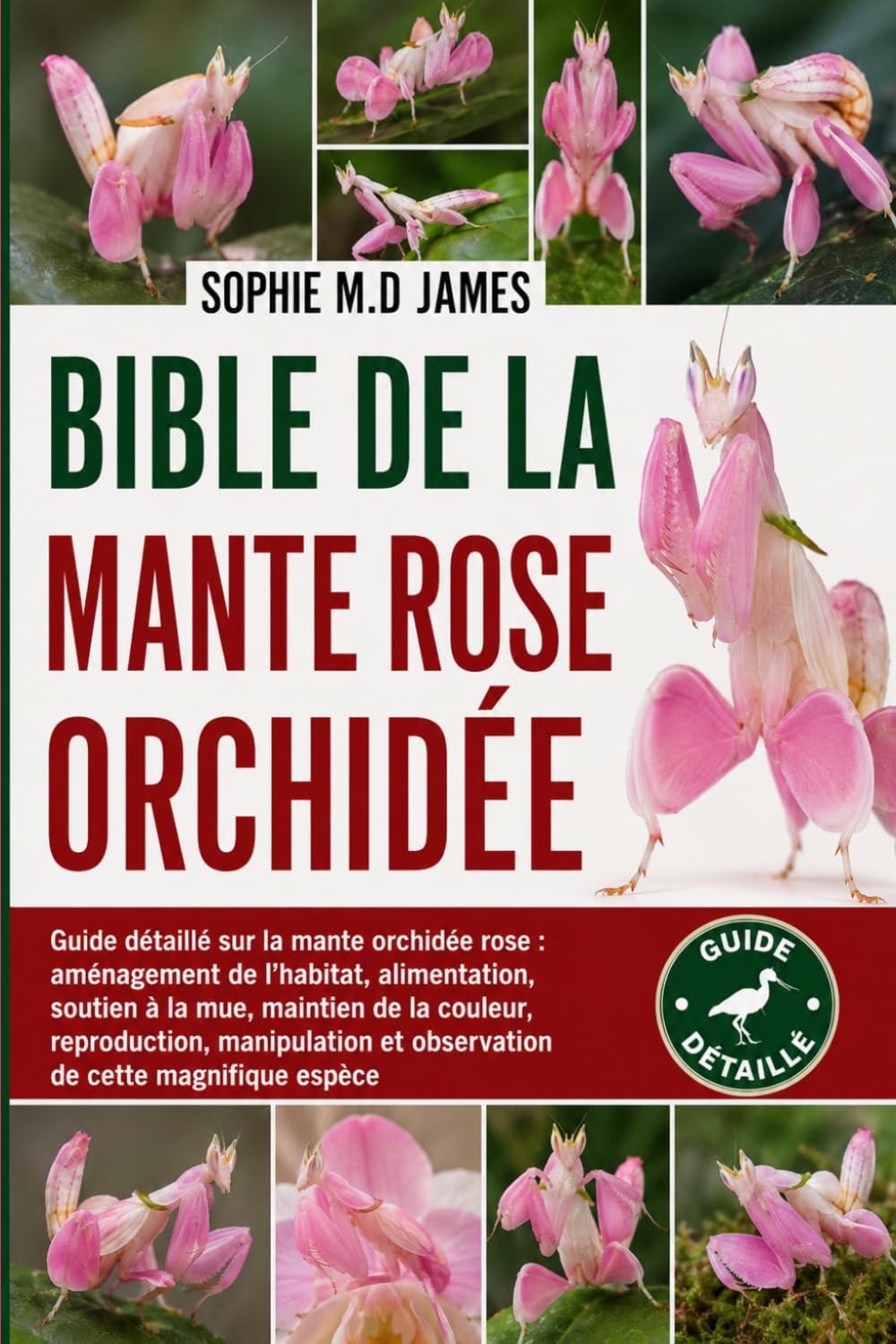 BIBLE DE LA MANTE ROSE ORCHIDÉE: Guide détaillé sur la mante orchidée rose : aménagement de l’habitat, alimentation, soutien à la mue, maintien de la ... et observation de cette magnifique espèce