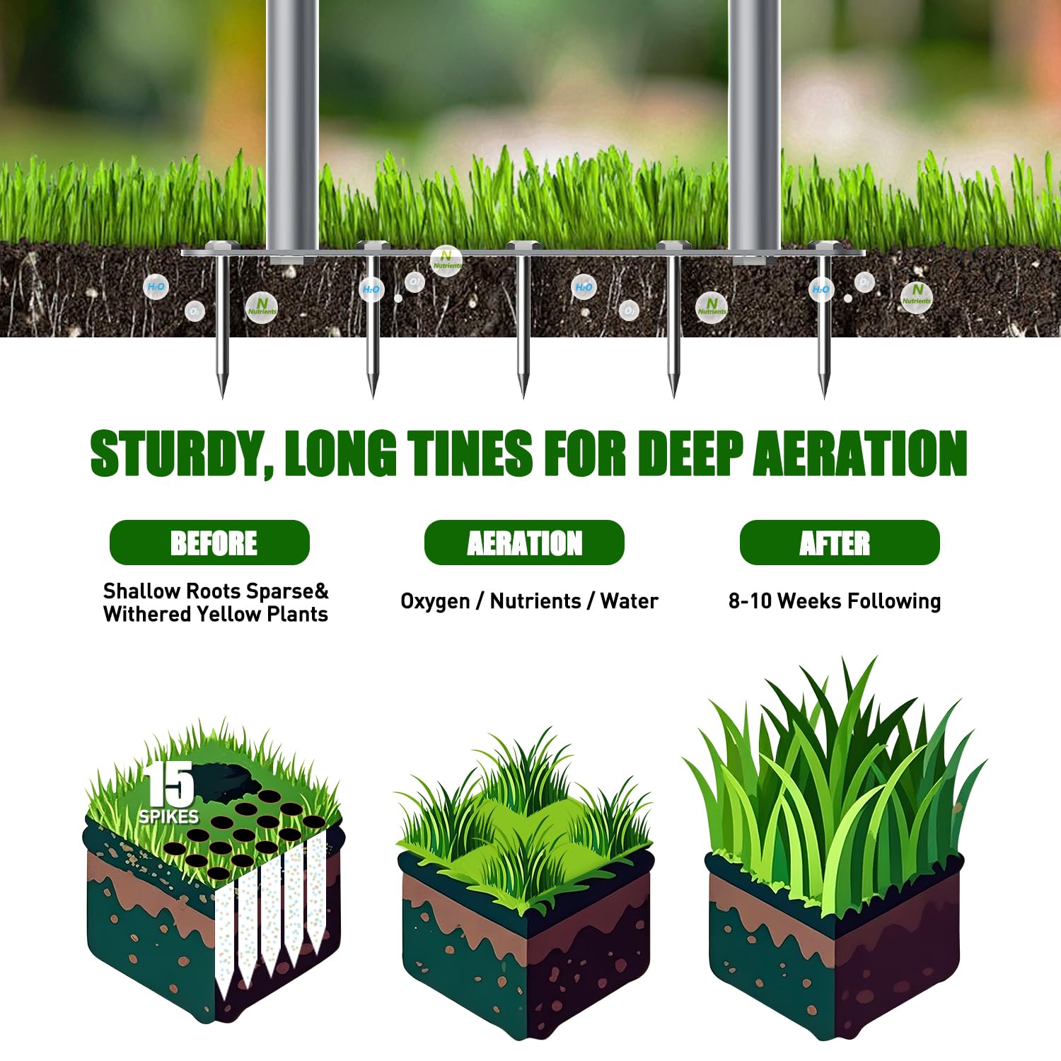 Aérateur De Pelouse, Aérateur De Pelouse, Manuel Avec Pointes, Outils