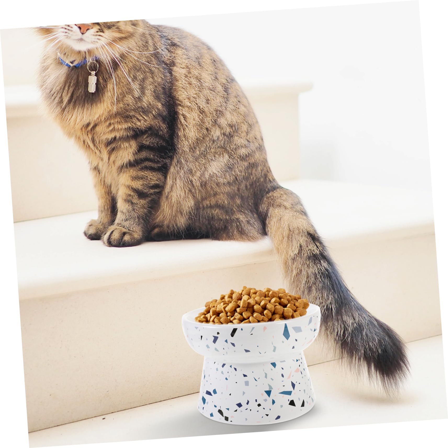 Cuenco Elevado para Gatos de Cerámica Protección Cervical
