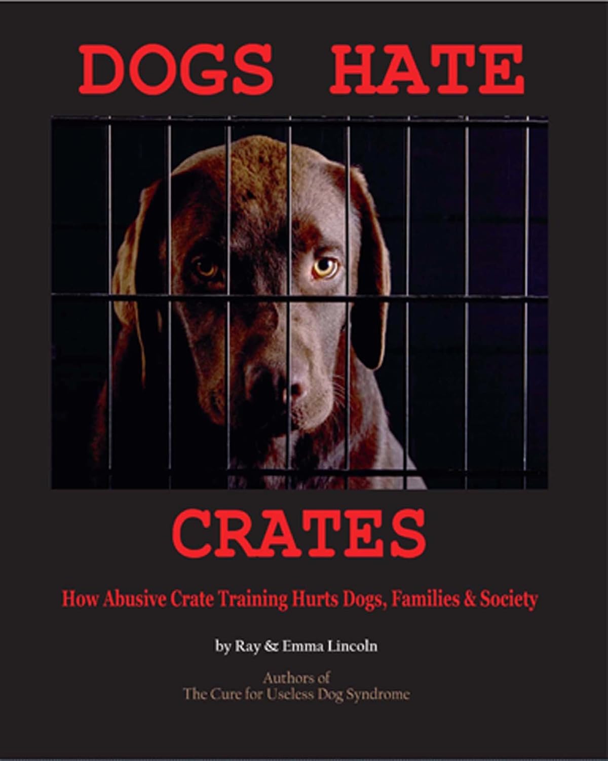 Dogs Hate Crates How Abusive Crate Training Hurts Dogs, Families