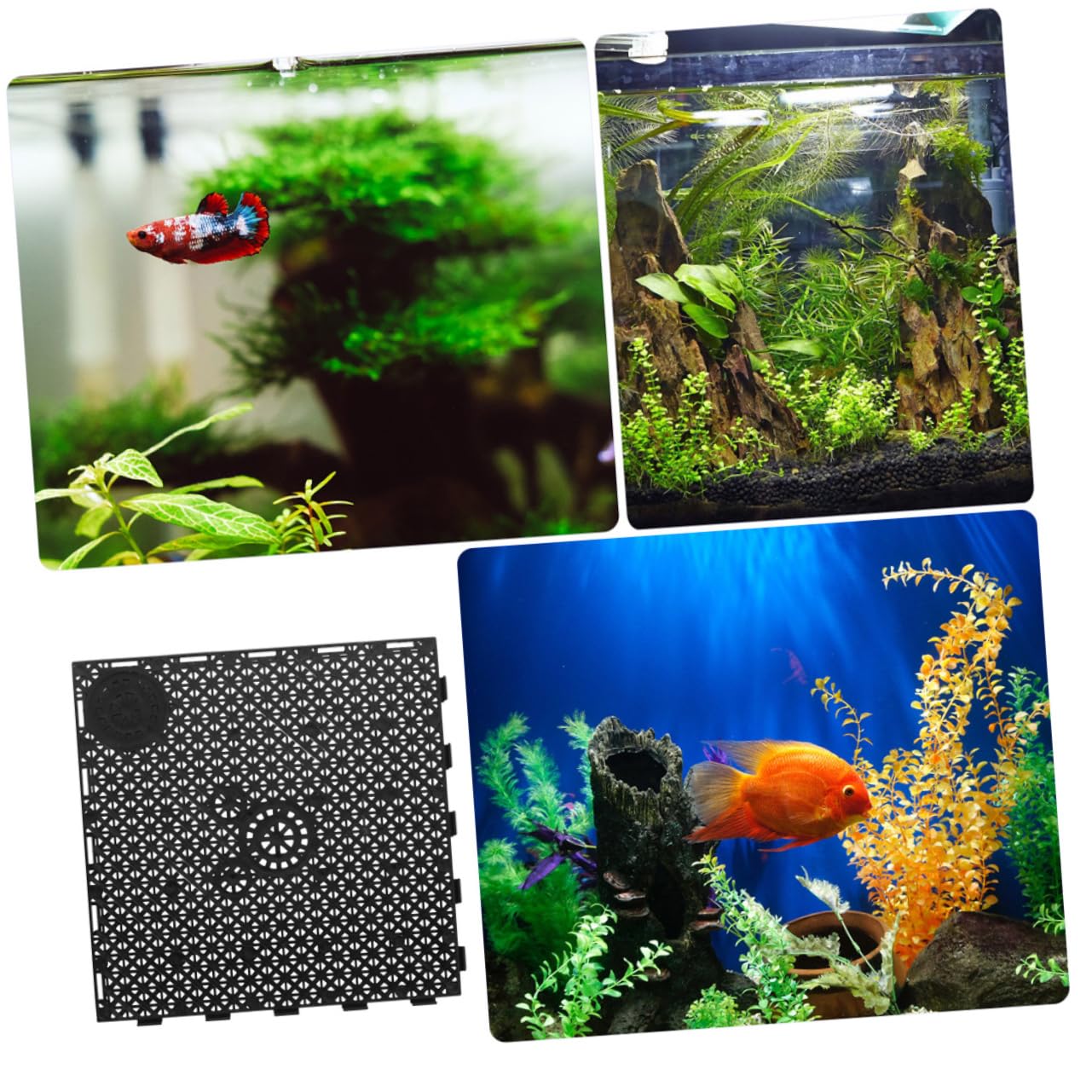 BESPORTBLE 12 Stück Aquariumfilterboden aus Pp Schwarze Isolationsplatten zur Unterteilung und Abdeckung für Zuchtbecken bei Aufzucht von Jungfischen