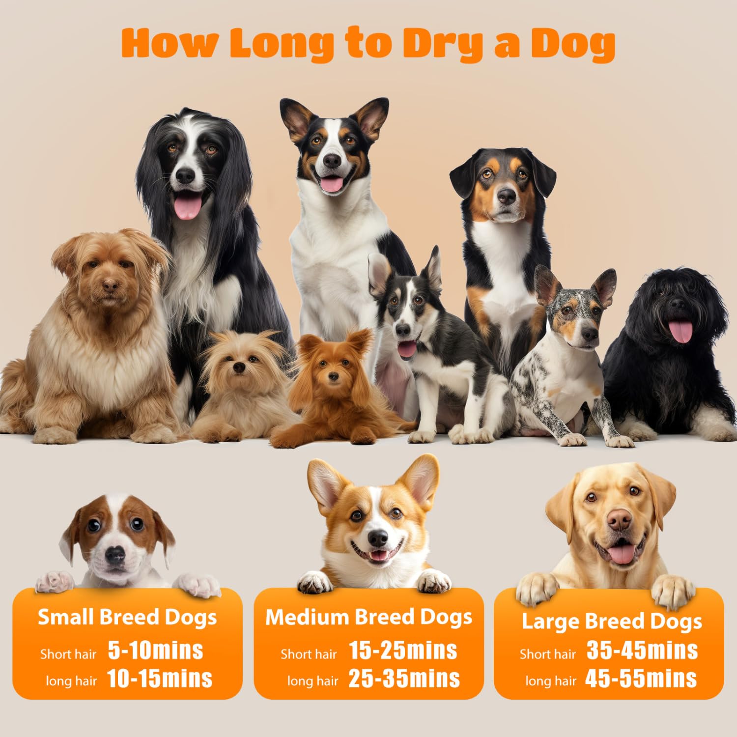 Nobleza Séchoir Professionnel pour Chiens et Animaux de Compagnie avec 4 Embouts, Vitesse/Température Réglables, Tuyau et Brosse Inclus, Faible Bruit