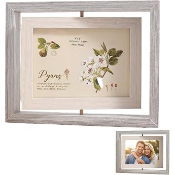 Double Glass Picture Frame Visible on Both Sides Double Glass