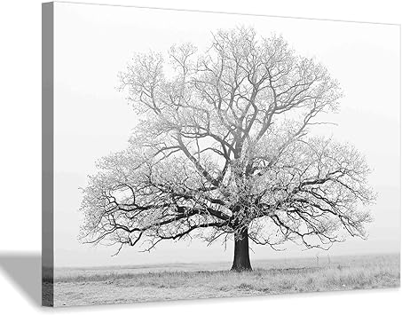 Hardy Gallery Tree Canvas Wall Art Black White Decor 45x30 Inch
