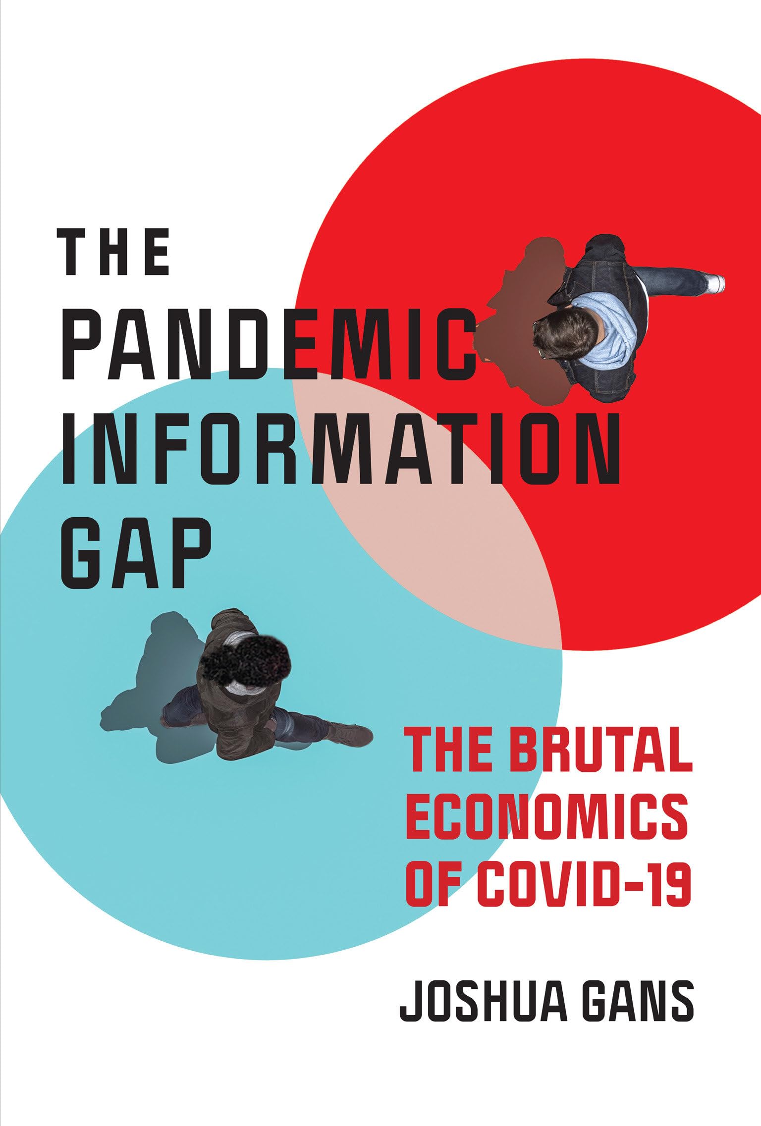 The Pandemic Information Gap: The Brutal Economics of COVID-19 (Design Thinking, Design Theory)