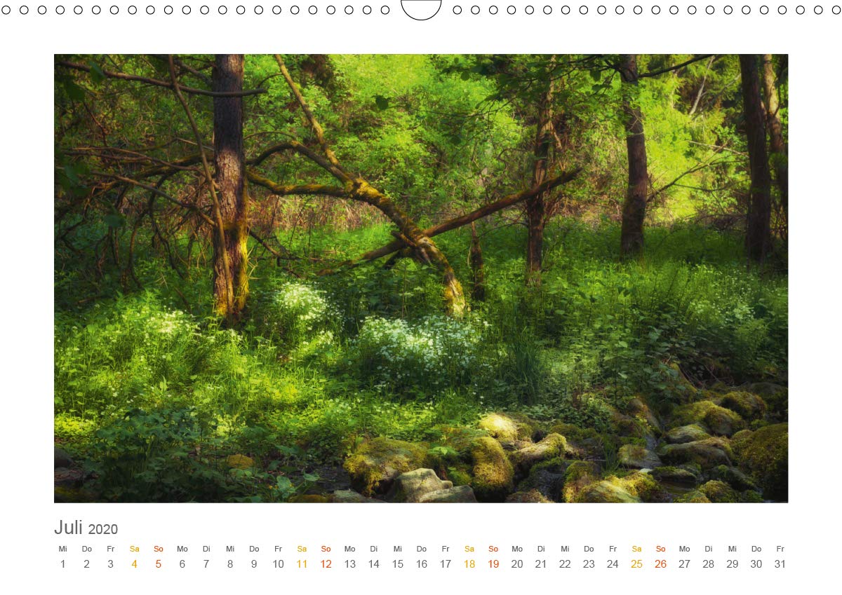 Im Märchenwald des Untertaunus (Wandkalender 2020 DIN A3 quer): Monatskalender, 14 Seiten, farbig (Monatskalender, 14 Seiten ) (CALVENDO Natur)