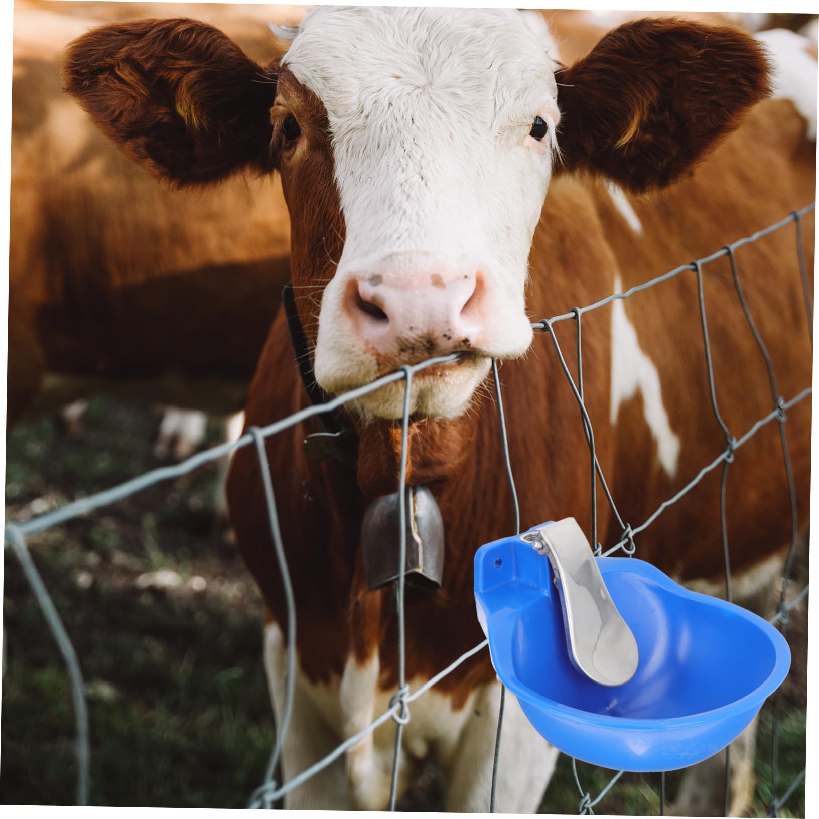 Bebedero Automático para Ganado de Plástico y Acero Inoxidable Azul | Gran Capacidad, sin Fugas de Agua, Fácil de Usar para Ovejas y Otros Animales de Granja