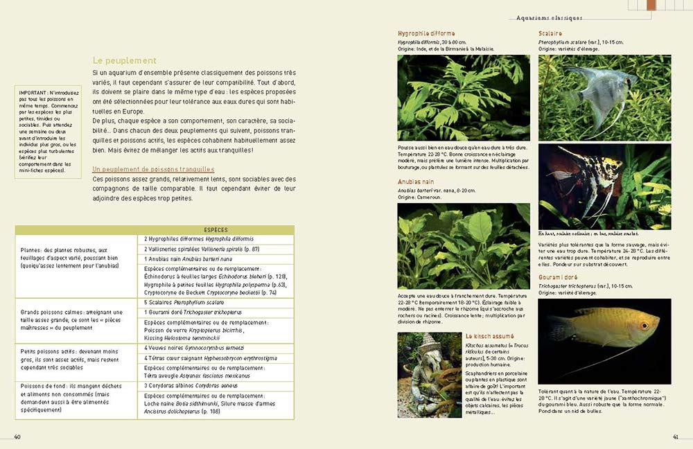 L'aquarium d'eau douce - Guide pratique du débutant
