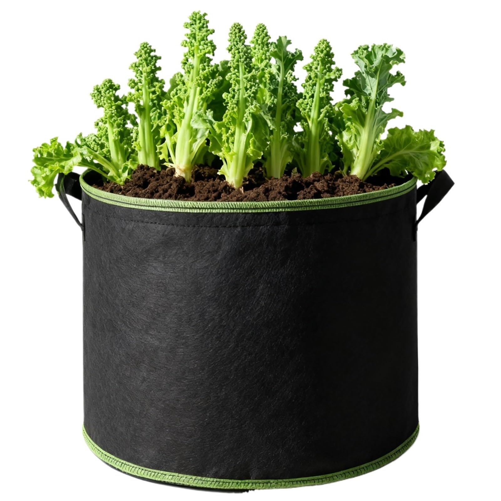 HWJFDC Potato Growing Bags 1 To 15 Gallon Grow Bags For Root Vegetables, Thickened Fabric Plant Containers With Handles, Potato & Carrot Planter Pots(5PCS,10 Gallon (40x30cm))