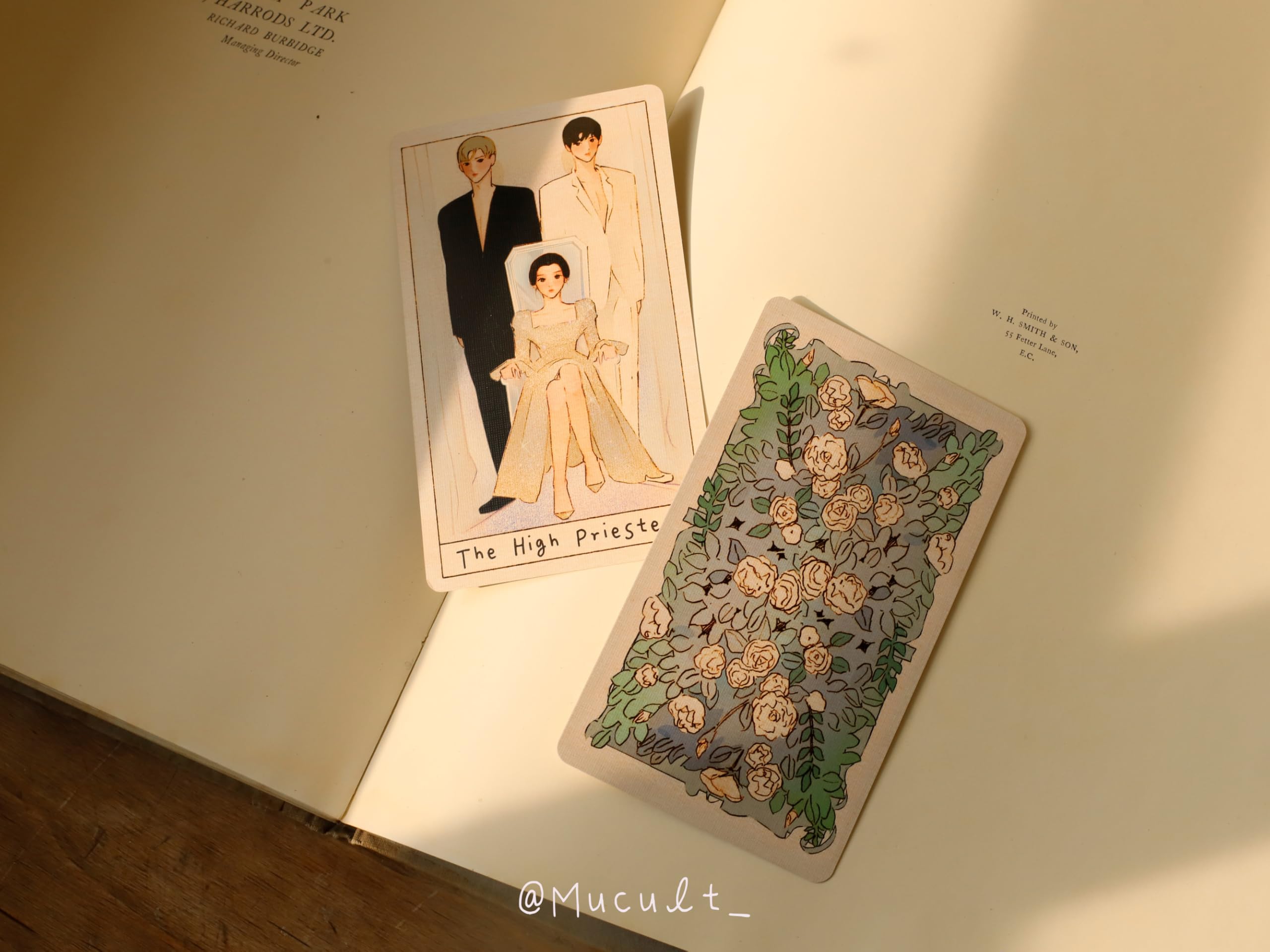 Mucult Love stroy Dive to You tarot : Amazon.sg: Toys