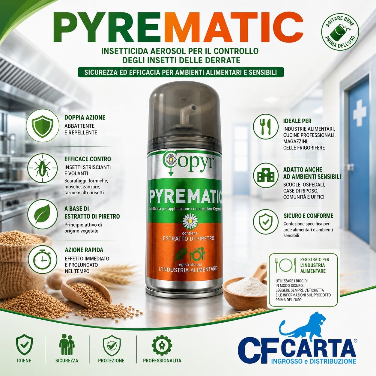 Bomboletta Aerosol Insetticida PYREMATIC, Piretro Naturale, 250ml, per Mosche e Zanzare, Uso Interno, confezione da 6 pezzi