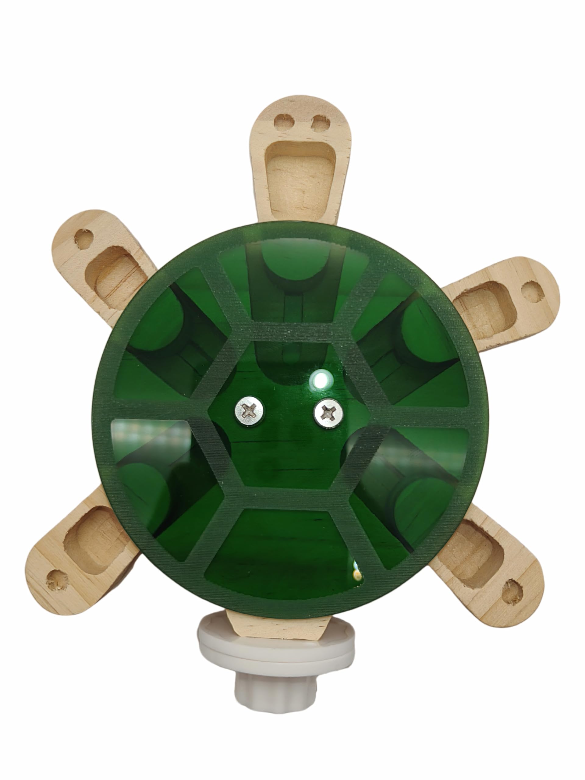 GoWitPaws Wooden Turtle Foraging Toy, 5-Drawer Puzzle Feeder with Acrylic Cover, Interactive Food Dispenser for Parrots and Small Pets, Green and Natural, 9x5.5x2 Inches