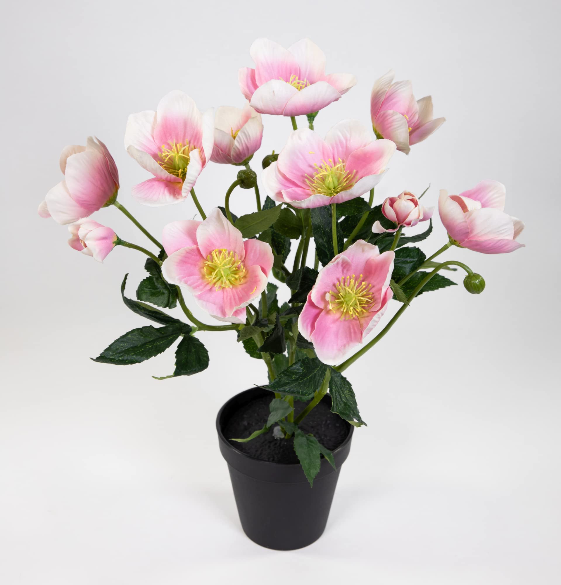 Amazon.de: Seidenblumen Ro Christrosenbusch 36cm Hellrosa im Topf PM  Kunstblumen knstliche Christrose Blumen Kunstblumen