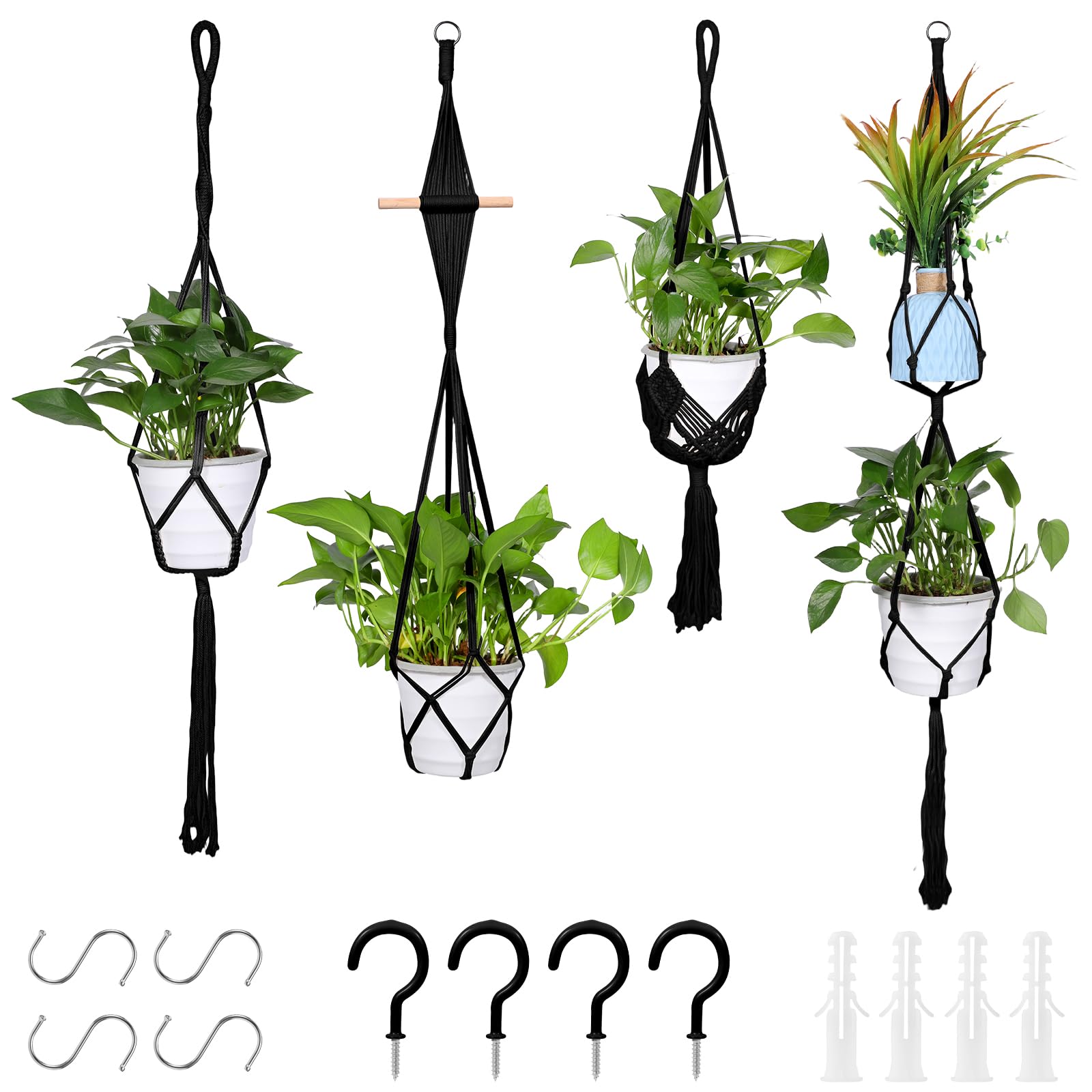 zorplex lot 4 suspensions plantes
