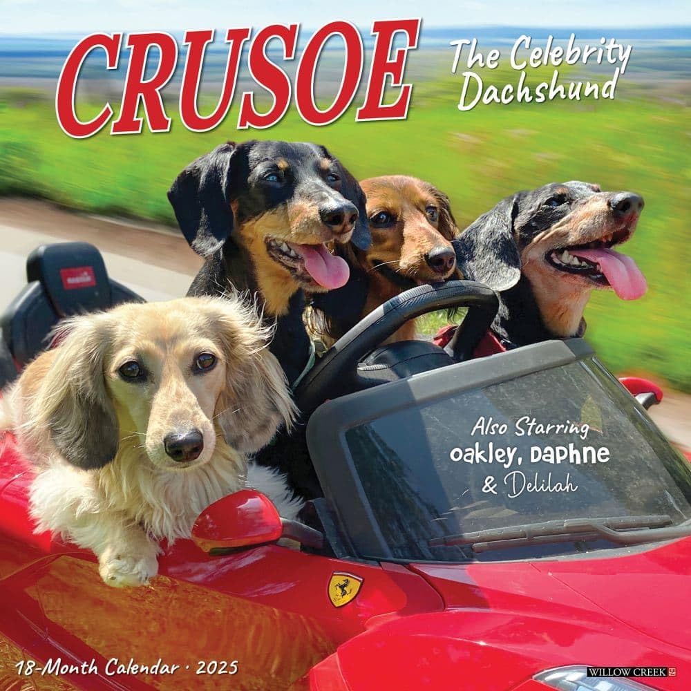 Crusoe the Celebrity Dachshund 2025 Wall