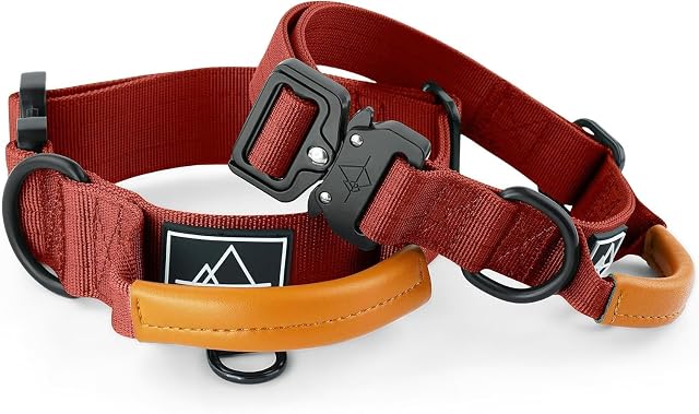 Foto 2 de 8 de Made to ROAM - Collar de control Explorer de alta calidad, ajustable, de nailon resistente con hebilla…