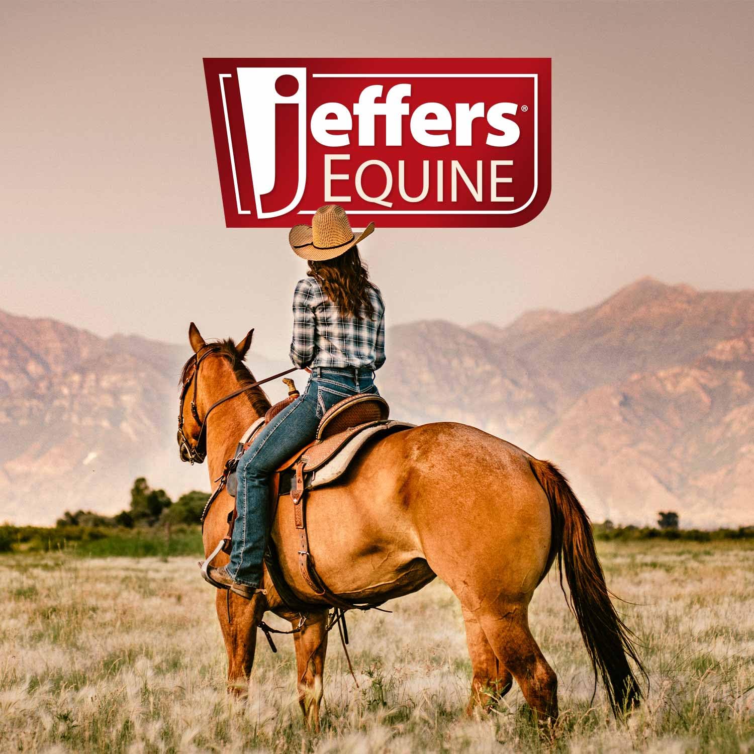 Jeffers Expression Bloomin Toolin - Enfriador de forro polar estándar para caballos, 87 pulgadas, manta de toalla equina, absorbe la humedad, peso ligero, mejor para secar, ejercicio, baño, bandas