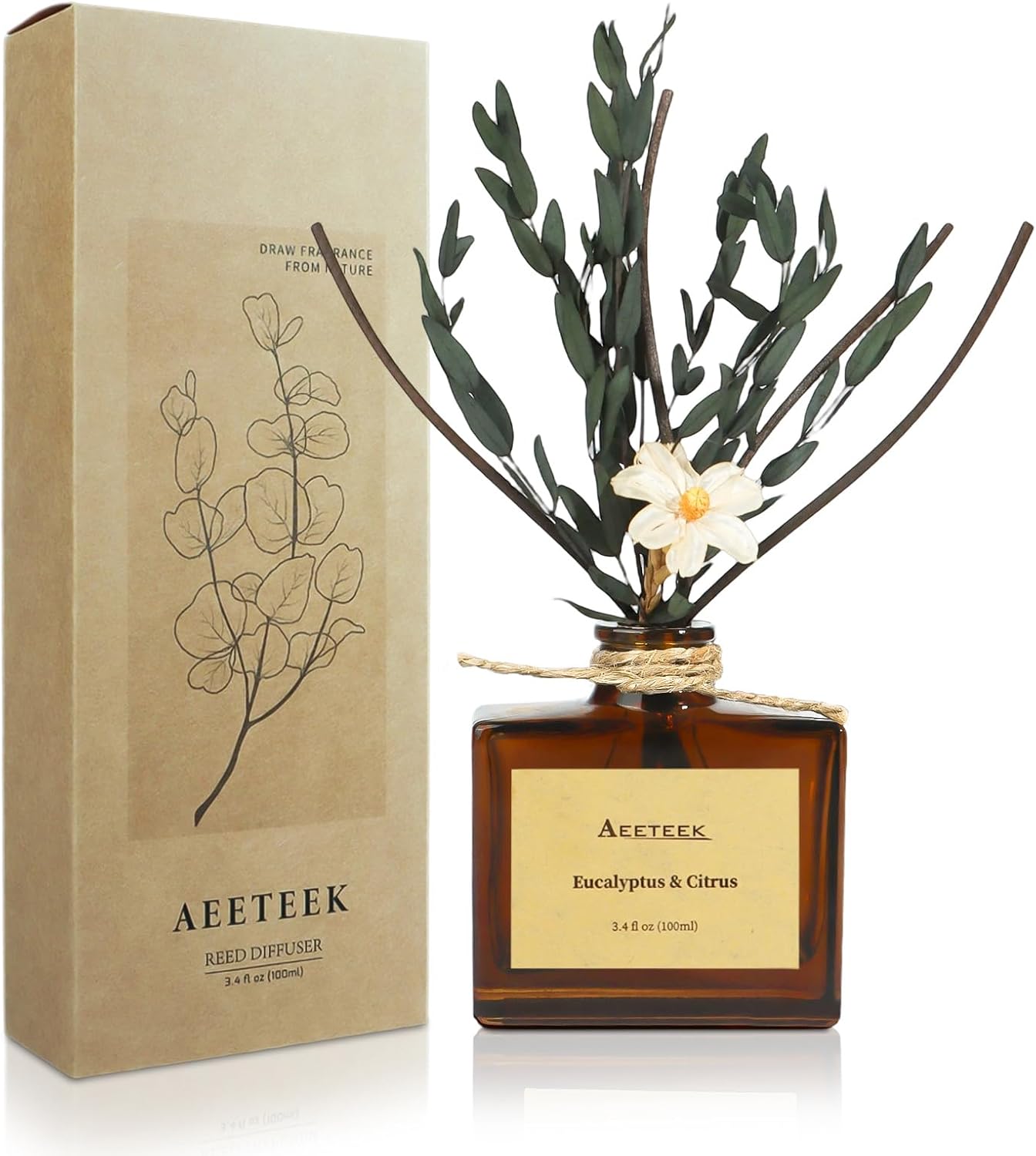 Reed Diffuser, Eucalyptus & Citrus Scented Oil Diffusers for Home with Dried Flowers, 3.4 Fl Oz Essential Oil Diffuser for Bathroom, Elegant Fragrance for Room Decor