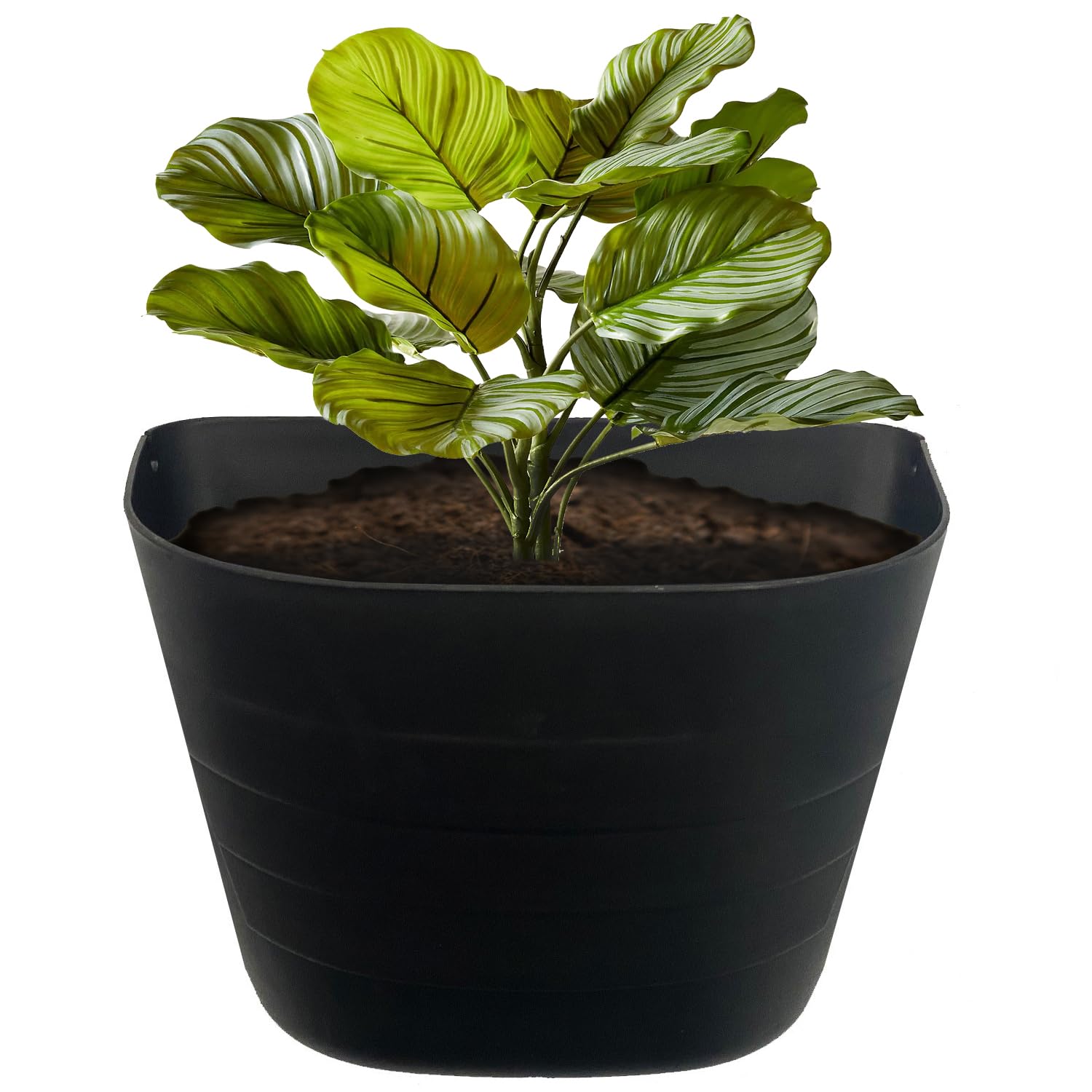 12 Inch Self-Watering Wall Planter for Indoor & Outdoor Use – Vertical Hanging Planter, BPA-Free, UV-Resistant – Perfect for Flowers, Herbs & Vegetables (Black, Without Plug)