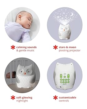 「Light Mellow Moonlight」 Amazon.com: Skip Hop Baby Soother, Moonlight & Melodies, Owl
