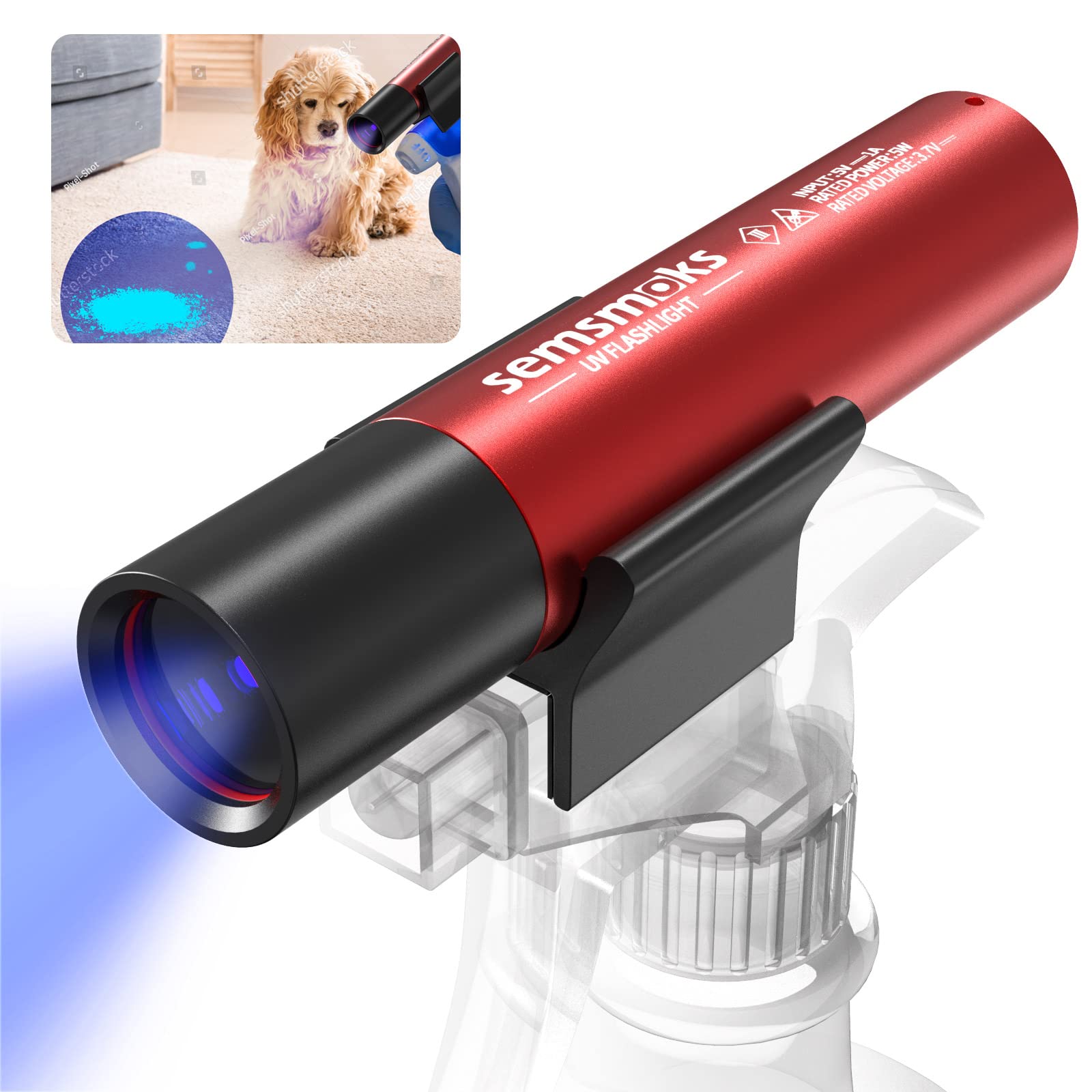 Will A Blacklight Show Dog Pee