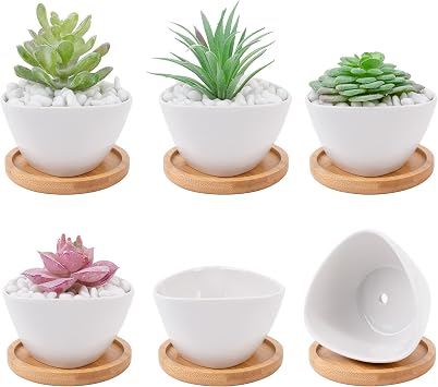 6 PCS Succulent Pot Cactus Containers White Ceramic Planter with Drainage Hole and Removable Tray Small Plant Pots for Home Office Decor Bonsai Container for Indoor Outdoor Plants Triangle