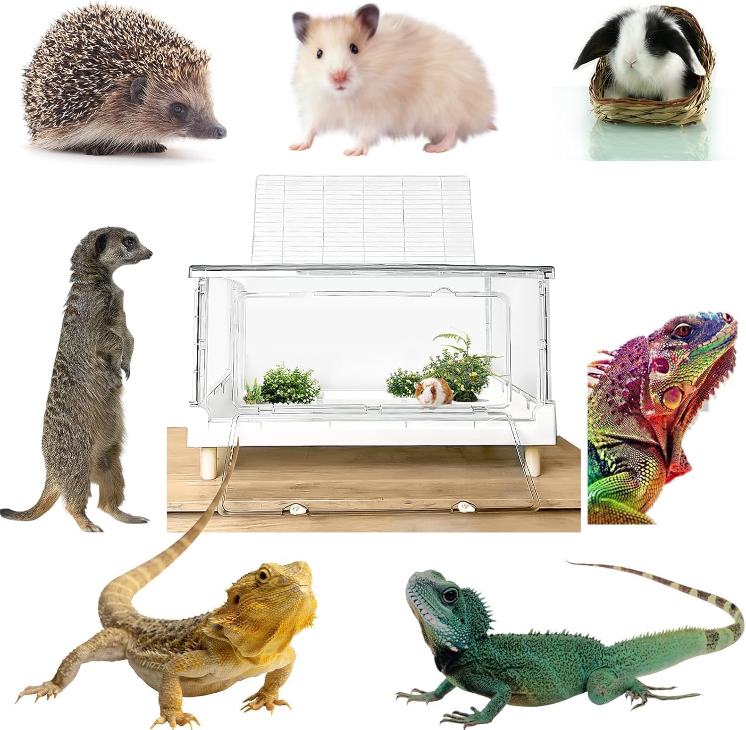 Jaula para hámster y cobayas, jaula acrílica para animales pequeños, jaula grande transparente para jerbos y hábitats, erizo, hámster enano, rata, hurón, conejo, codorniz, pájaro, extensible, apilable