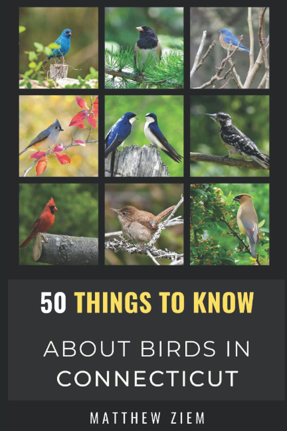 50 Things to Know About Birds in Connecticut: Birding in The "Nutmeg State" (50 Things to Know About Birds- United States)