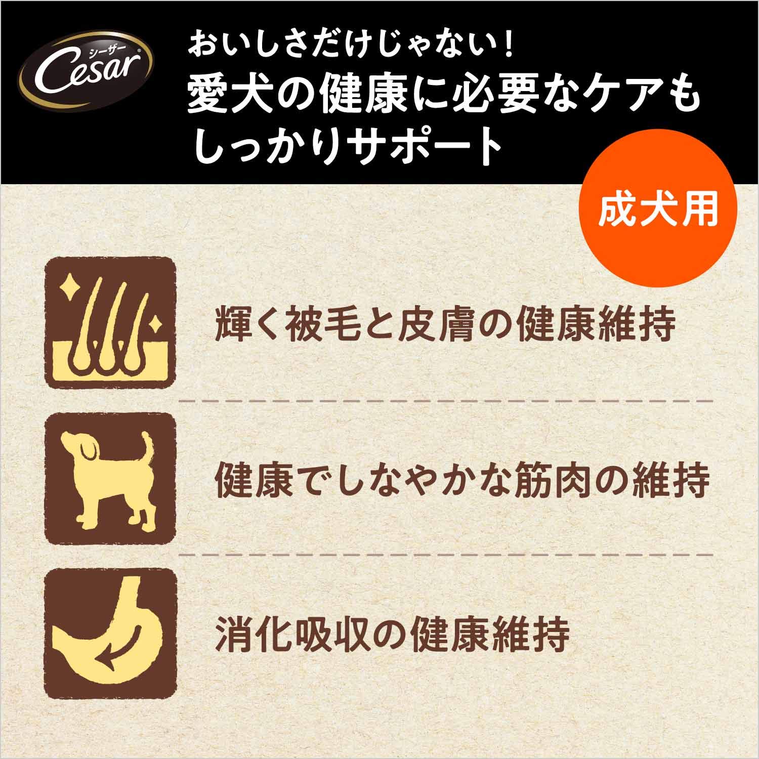 Amazon.co.jp: シーザー ドライ 成犬用 3kg チキンと4種の農園野菜入り