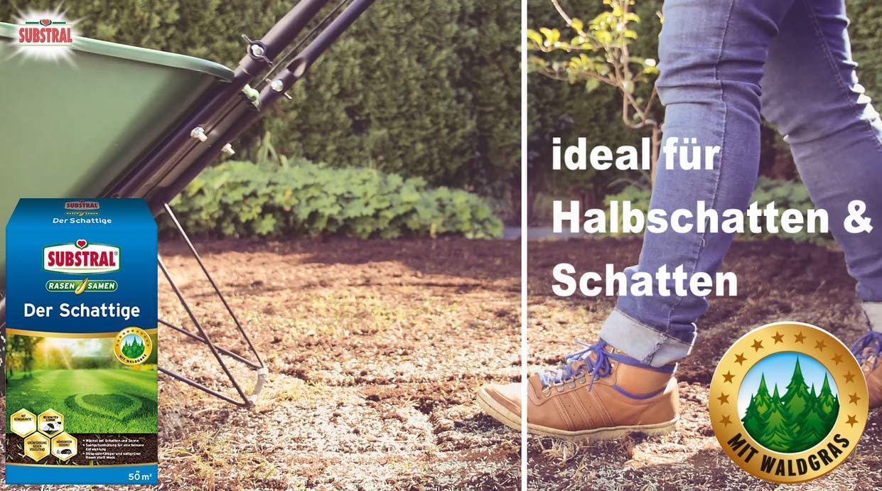Substral Rasensamen Der Schattige Schattenrasen Premium Rasensamen für schattige Stellen 1kg für 50 m²