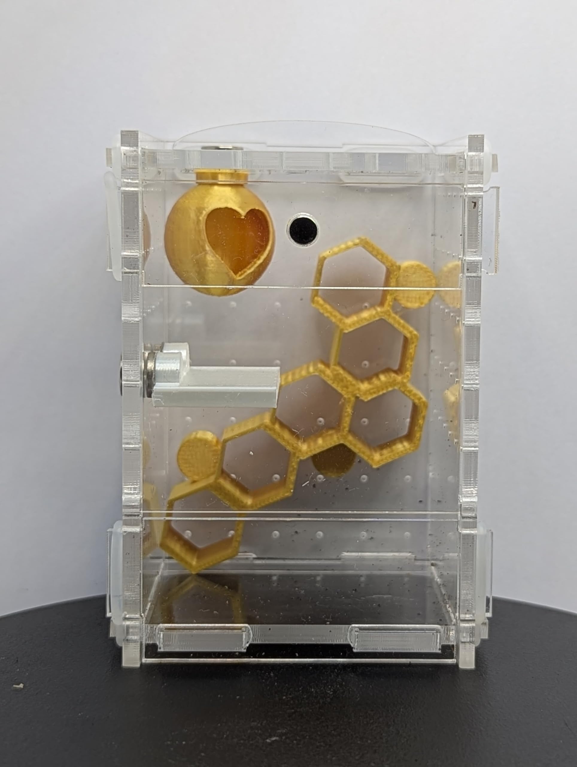 Jumping Spider Enclosure Full Setup with Decor included! Suitable for slings, pet spider, front opening, very secure 6cm X 6cm X 9cm Kit 360 Viewing (Gold)