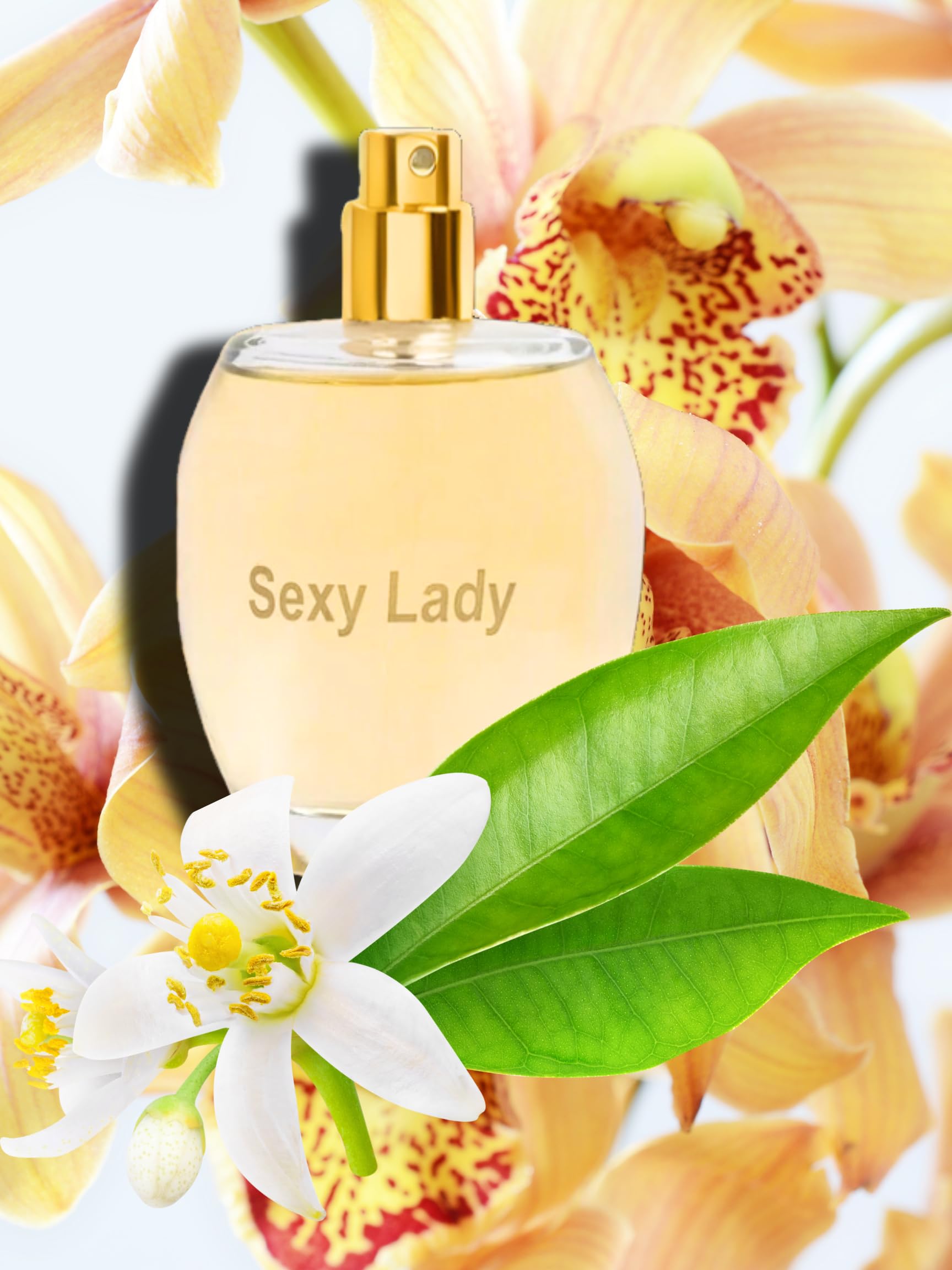 香水(女性用) mand Amazon.com : SEXY LADY Eau de Parfum 3.4 Fl. Oz. Amber Floral