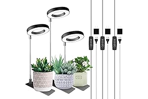 Plant Halo: Full Spectrum Light for Indoor Plant Growth