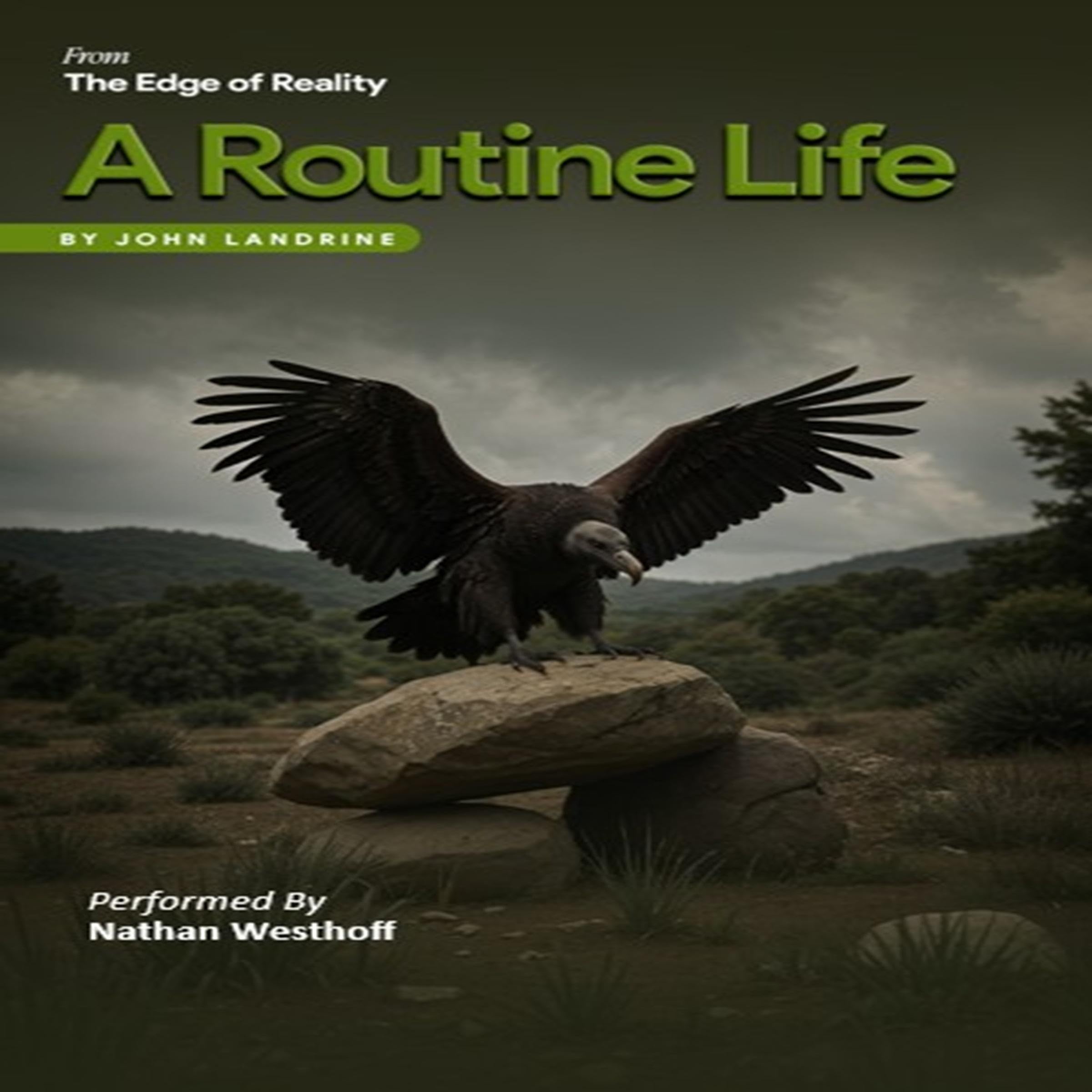 Cover art for A Routine Life