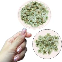 1 Boxes 50 pcs Nail Drying Flower, DIY, 3D Nail Art, Plant Theme, Irregular Shape, Flower Stickers Suitable for Care and Small Natural Nail Decoration, Accessories. (Scottish Green)