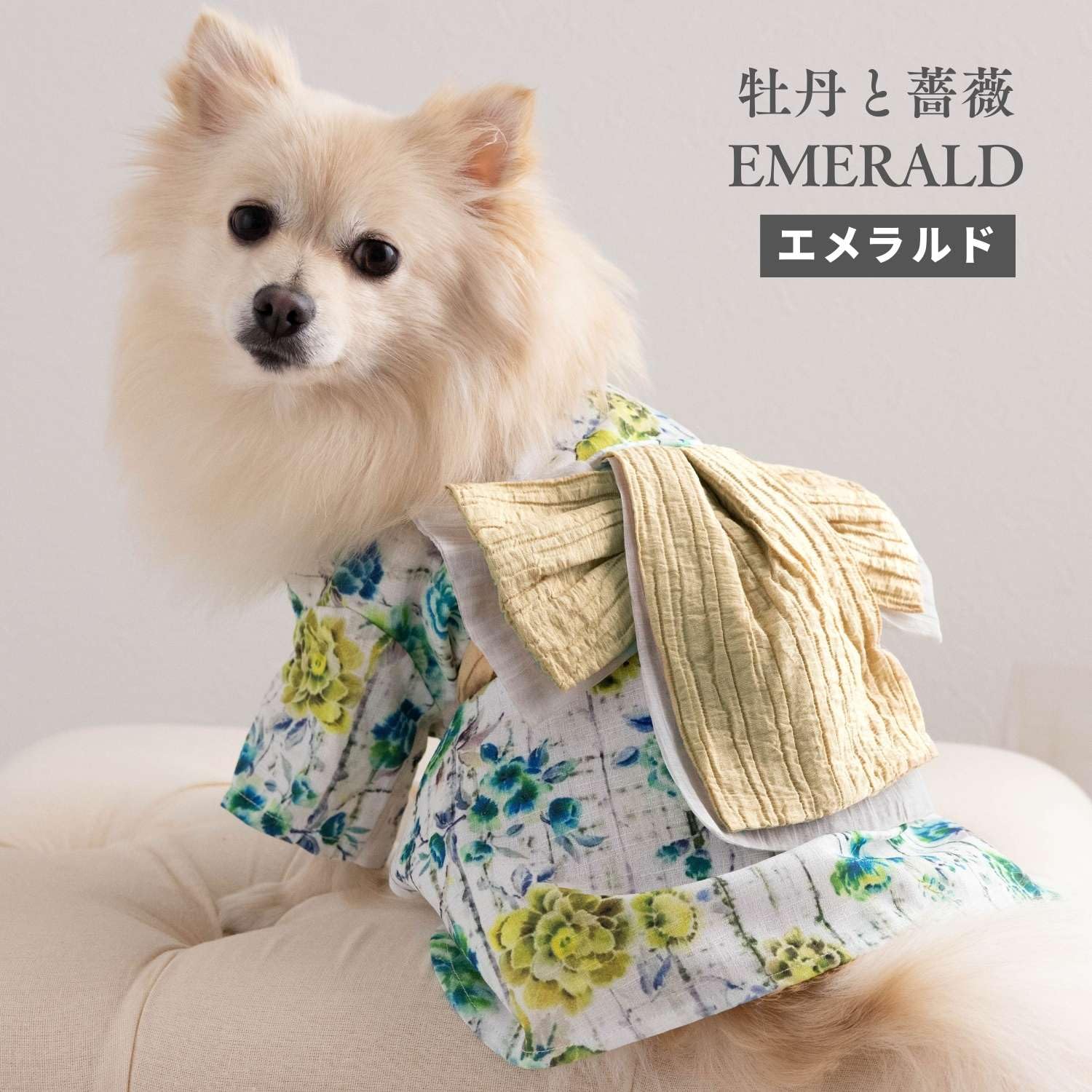 Amazon | ONEKOSAMA OINUSAMA ペット浴衣 浴衣 犬 いぬ イヌ 服 猫