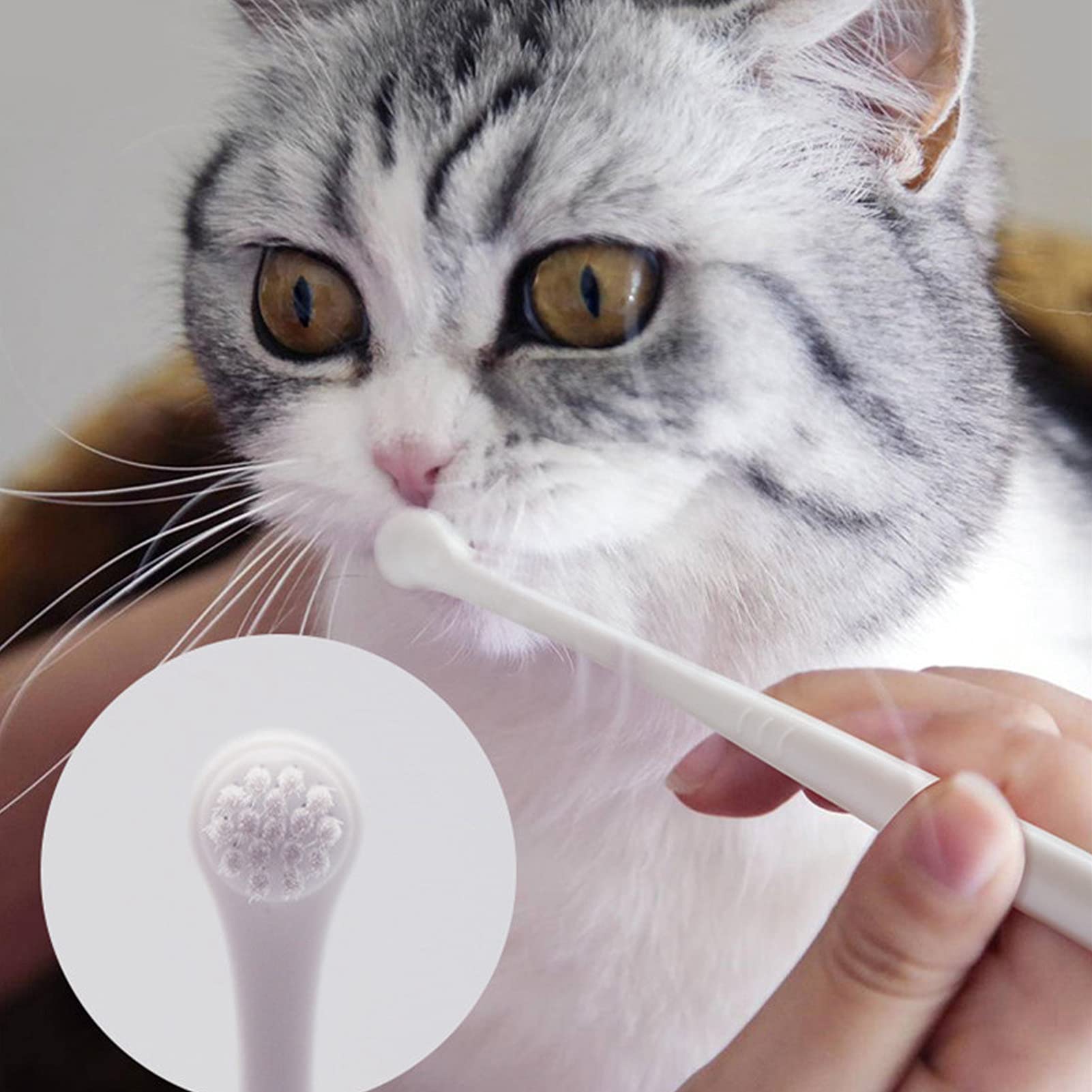5 Pi¨¨ces Brosse ? Dents Animaux Compagnie,Brosse ? Dents Douce Confortable ? Long Manche,Brosse ? Dents ? T¨ºte Souple Chat 0,09 Mm,Brosse de Nettoyage Des Dents Chat Petits