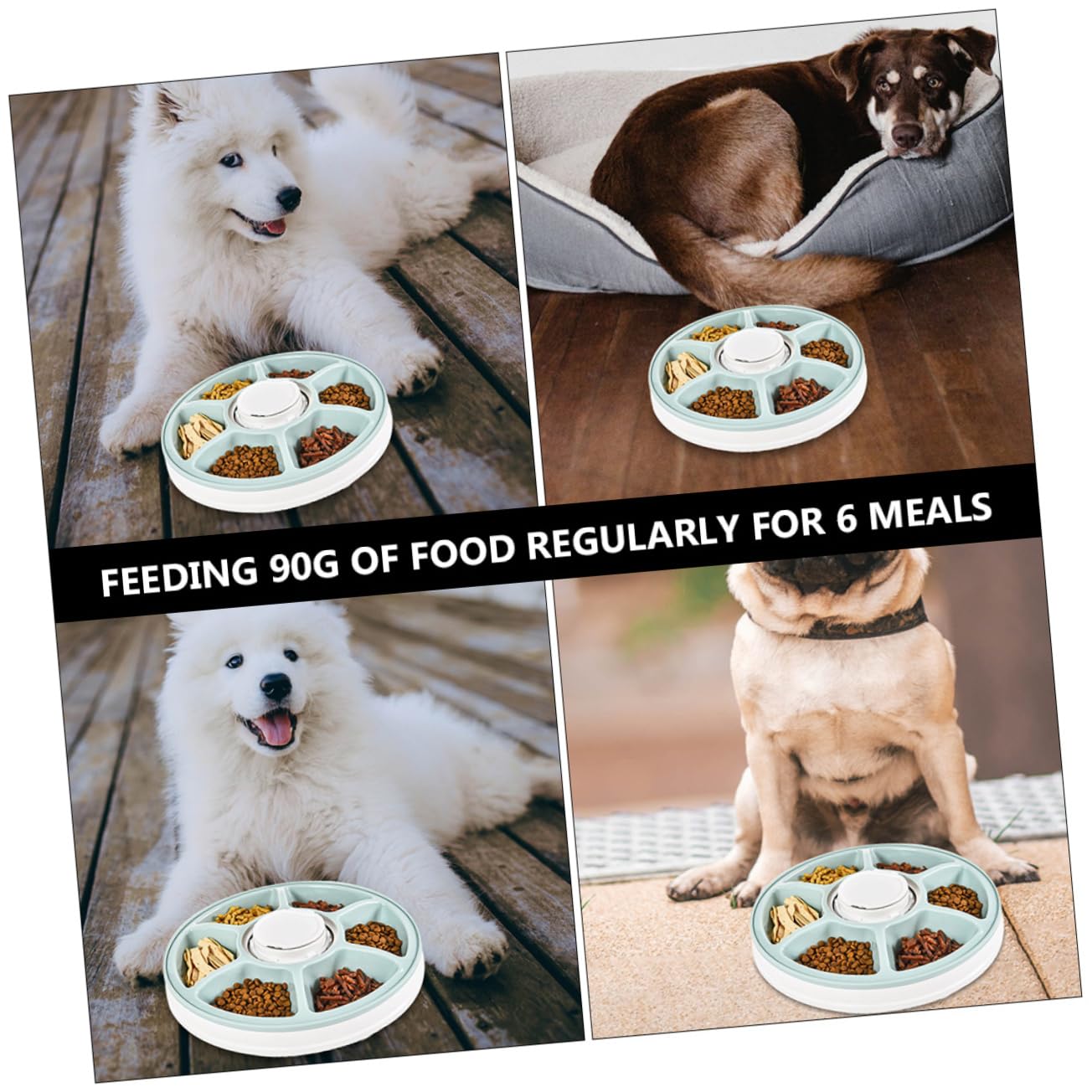Distributore Crocchette Cane Intelligente in Abs Verde