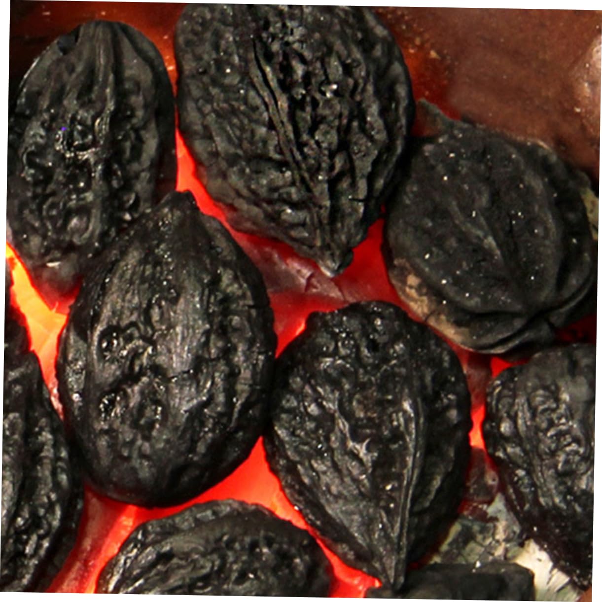 Carboncino per Grigliare, 500g Sacchetto Nero per Campeggio, Bush Craft e Cucina Esterna