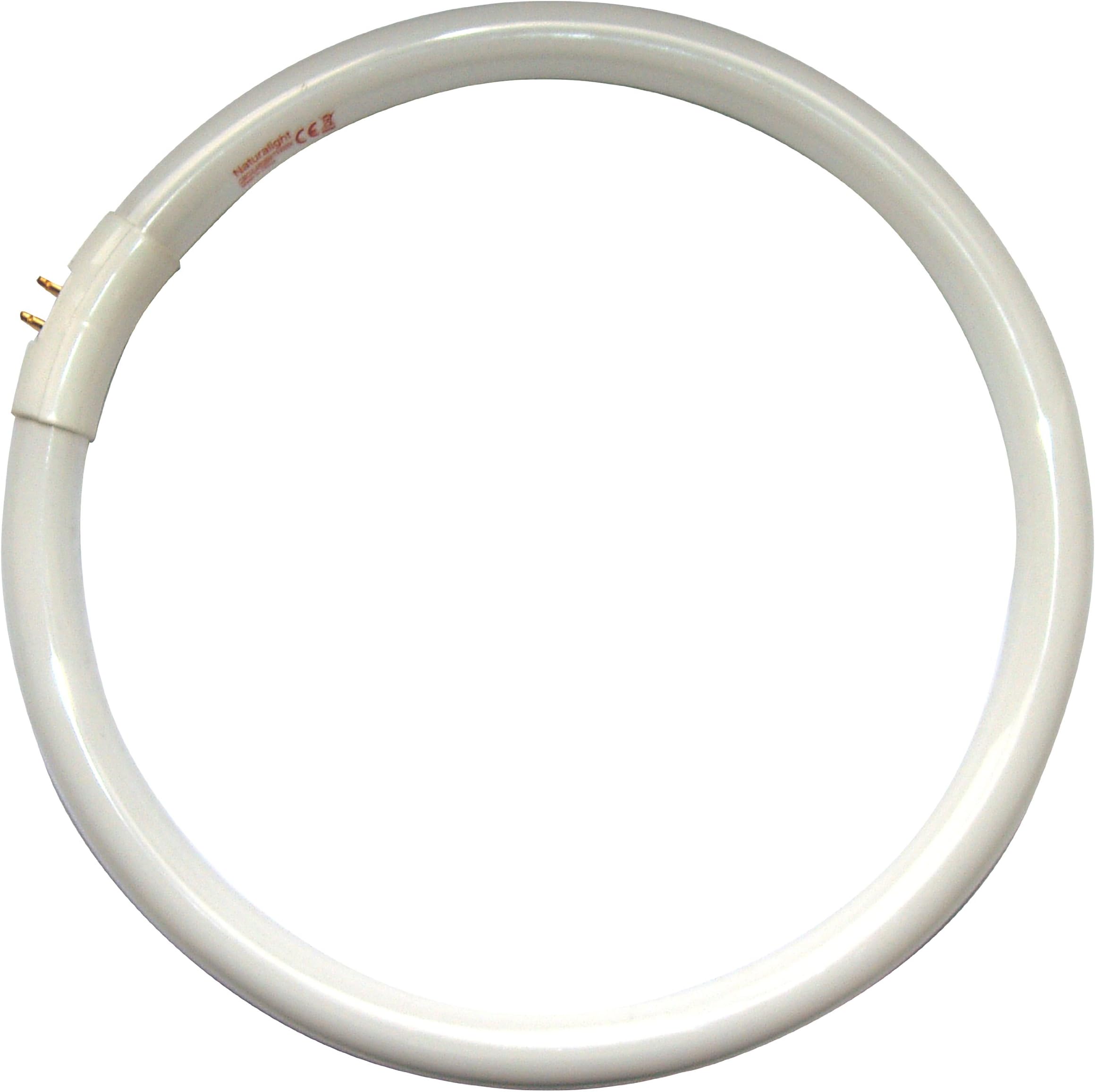 Daylight Company NaturalLight DN0003 28 Watt Flourescent Tube Energy Saving Circular Tube, White [Energy Class A]