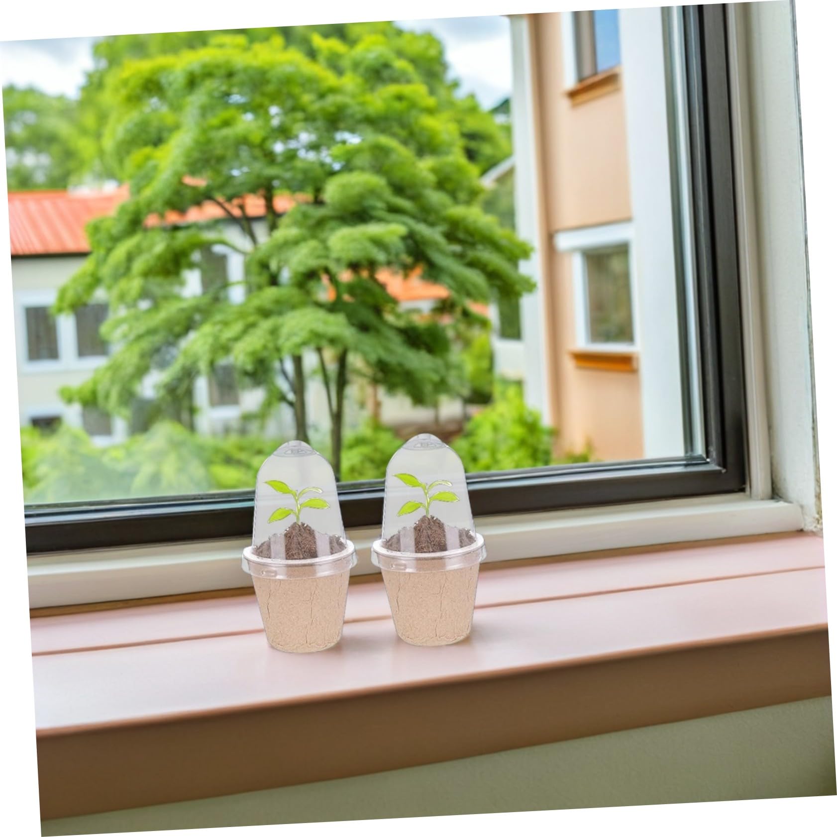 UPKOCH 40pezzi Vasi Rotondi Da Vivaio Biodegradabili in Polpa Di Carta Per Semina Di Piante e Ortaggi Per Progetti Scolastici e Giardinaggio Indoor