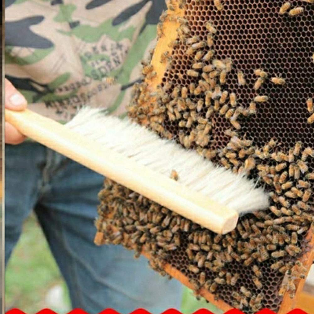 HOTEU Tek sıra arıcılık fırçası ahşap saplı yumuşak saç - 4 adet petek fırça arıcılık kutusu fırça arı süpürme fırçası aracı tepe çiftlik temizleme fırçası