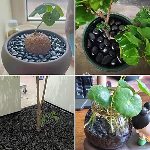 Miniatura 6 de SHIZWU Rocas de río negras pulidas guijarros decorativos pulidos de 2 a 3 pulgadas, 40 libras, piedras pulidas para paisajismo, rocas de río