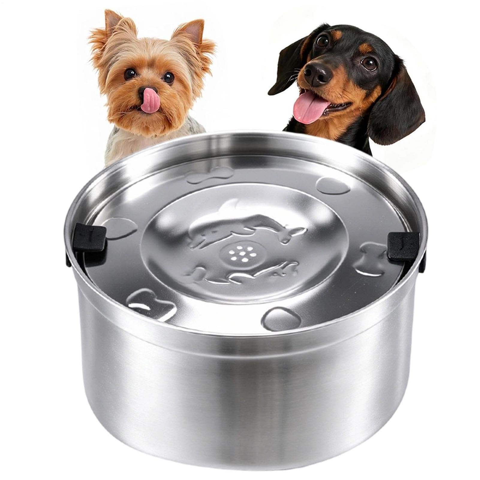 Cuenco para mascotas | Alimentador de acero antiderrames | Base