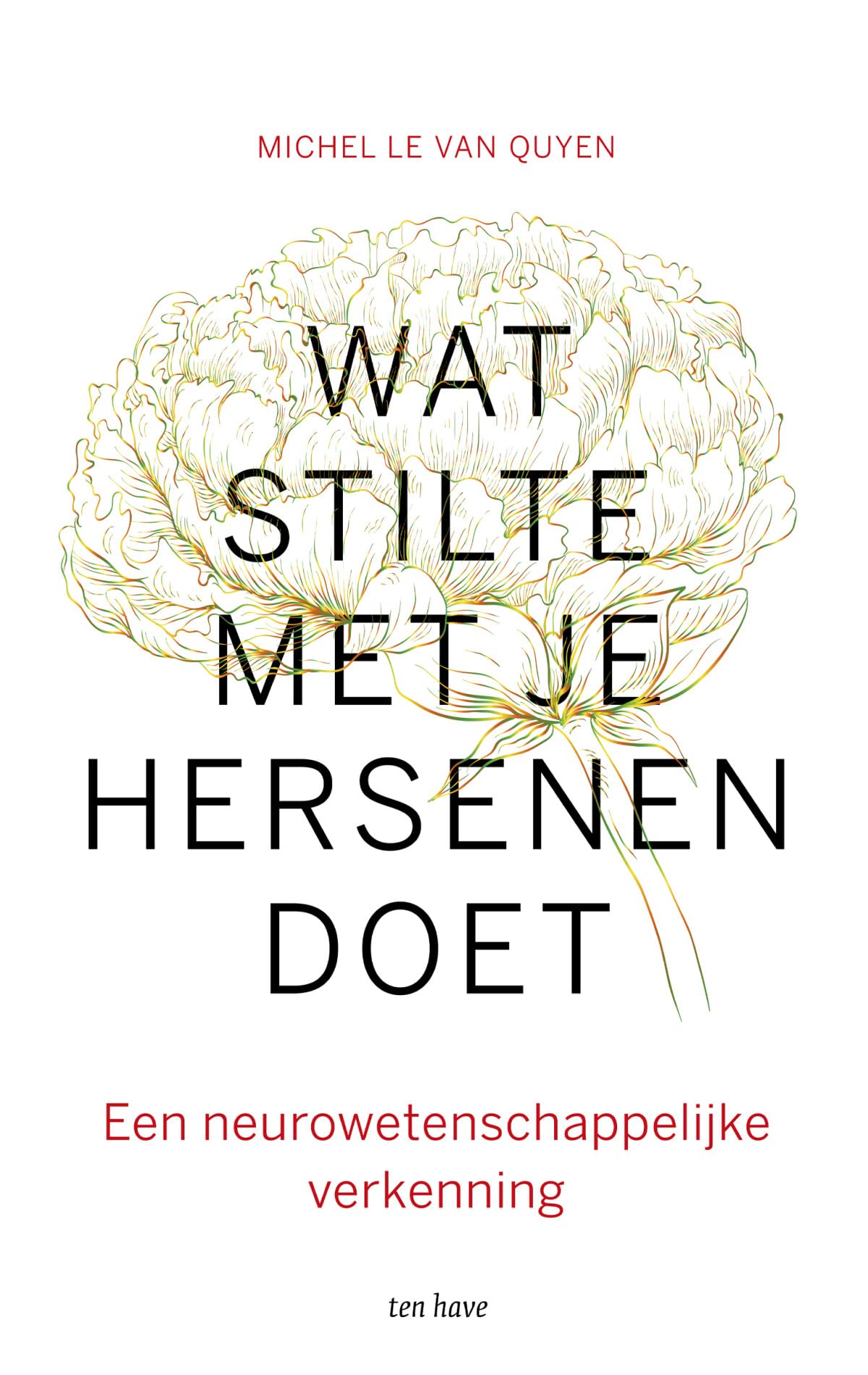 Wat stilte met je hersenen doet: een neurowetenschappelijke verkenning