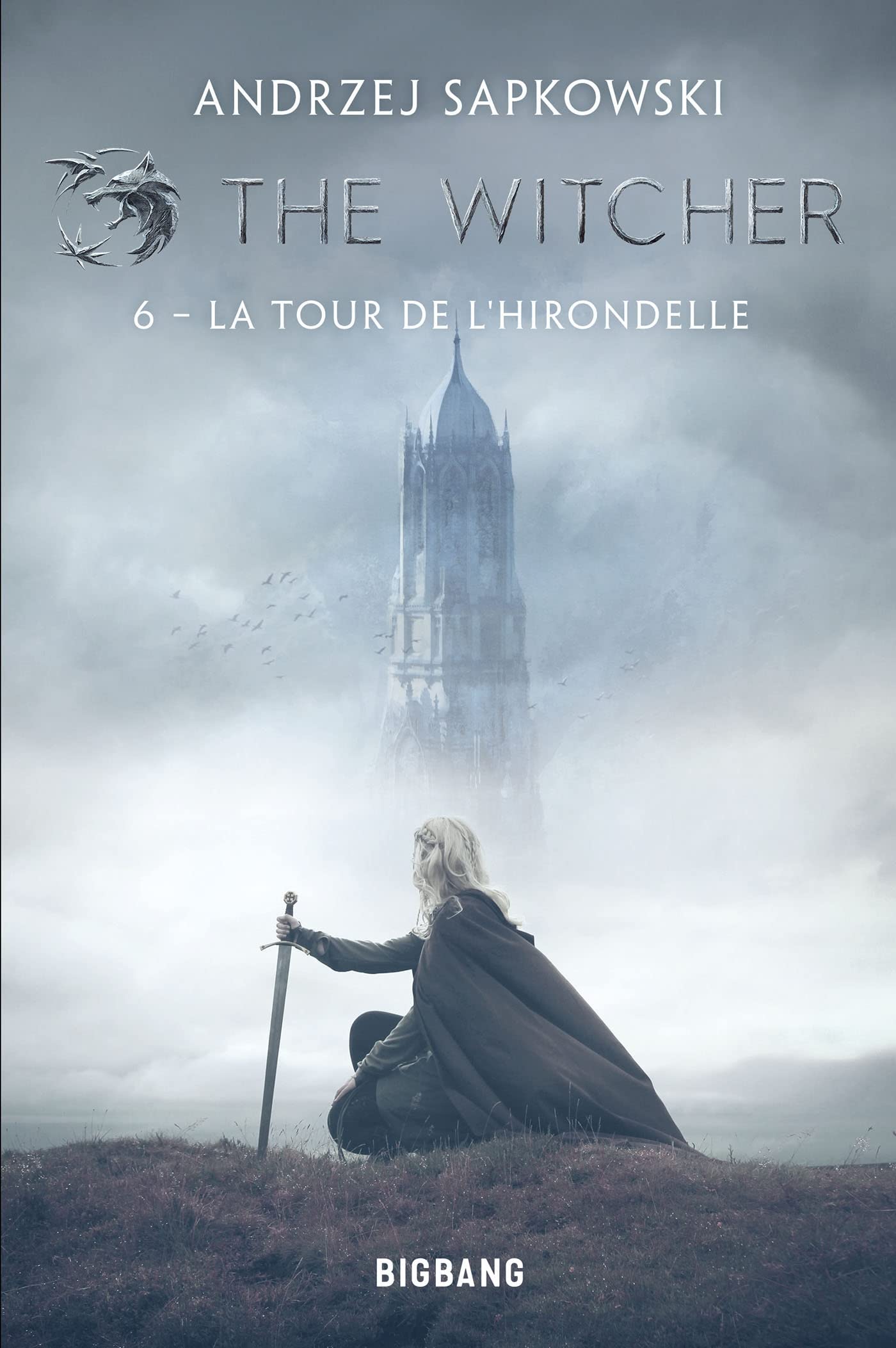 The Witcher (Sorceleur), T6 : La Tour de l'Hirondelle