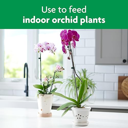 Miniatura 3 de Miracle-Gro Alimento soluble en agua para orquídeas, 8 onzas, paquete de 2