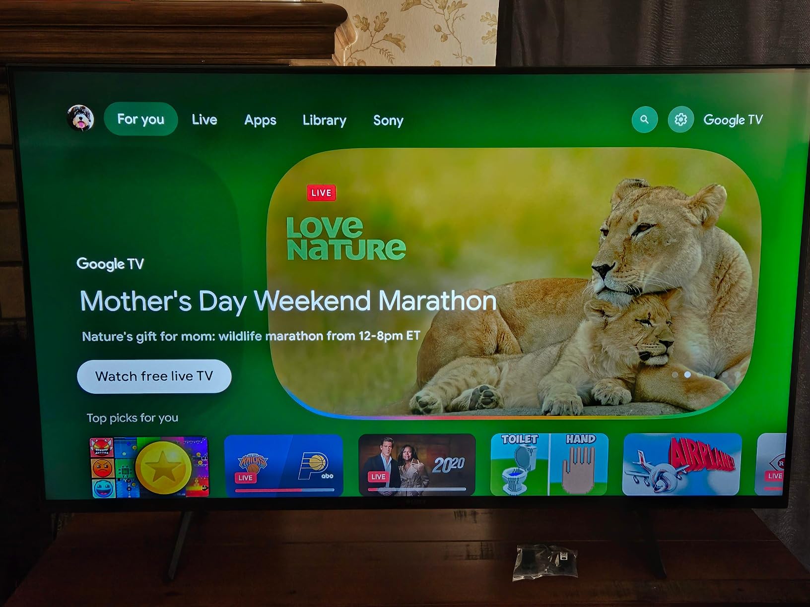 sony 65 inch bravia 3 240hz tv