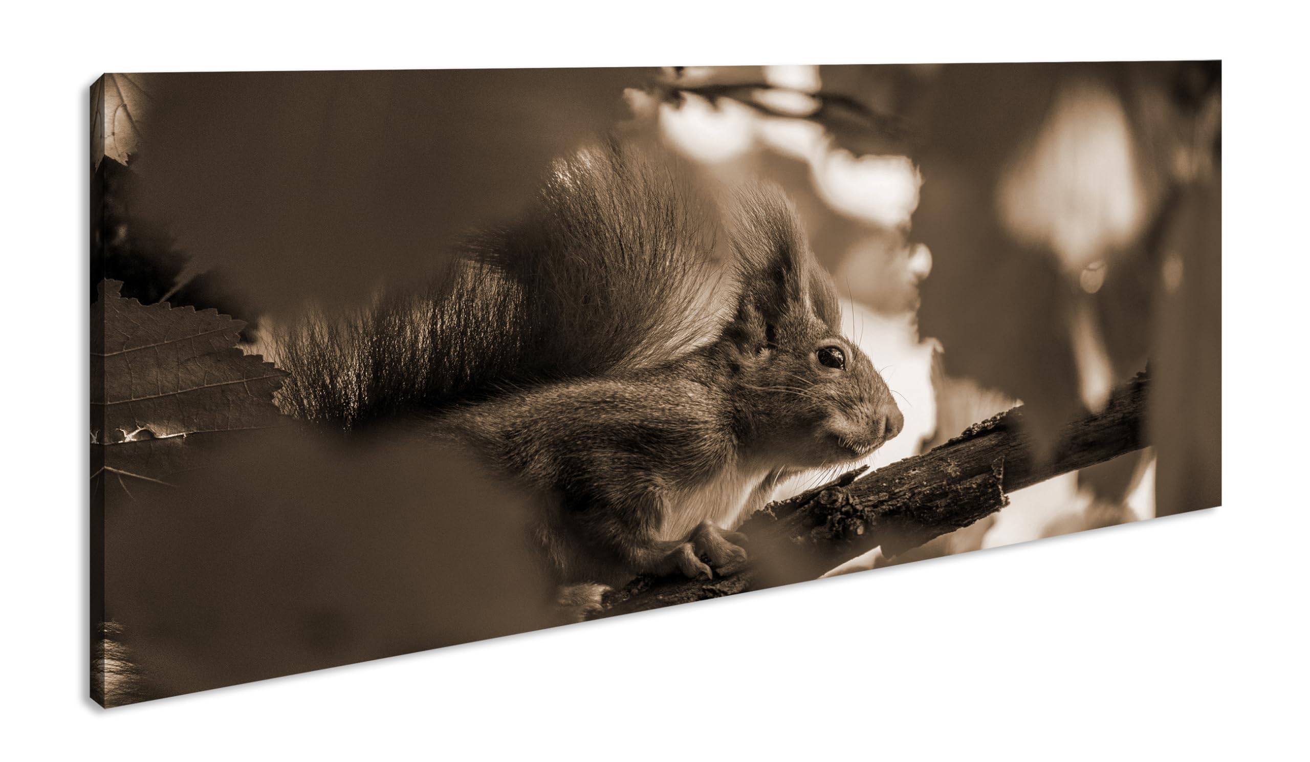 Joli panorama écureuil ravissant 100 x 50 cm - Effet : sépia comme toile - Motif prêt à être encadré sur un cadre en bois véritable - Impression numérique de qualité supérieure avec cadre